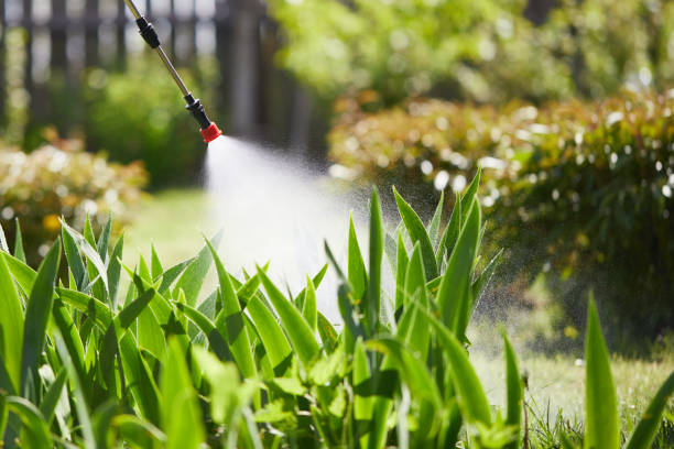 24/7 Emergency Mosquito Control experts in Dana Point, CA