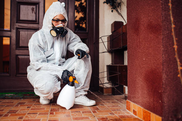 Reliable Mosquito Control contractor in Dana Point, CA by Show Me Pest Control
